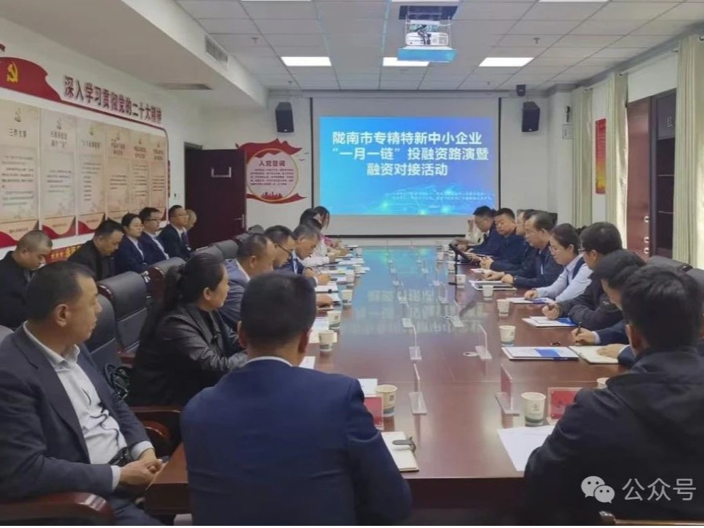 企業(yè)動(dòng)態(tài)丨金控隴南擔(dān)保公司積極參加隴南市投融資路演對接活動(dòng) 全力支持科創(chuàng)企業(yè)融資發(fā)展
